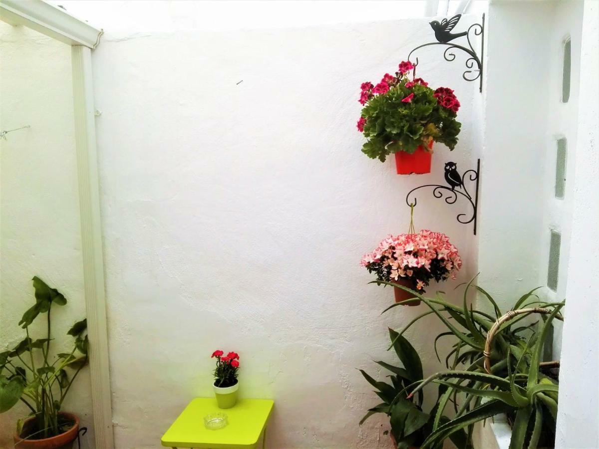 La Flor De Mayo Apartment *